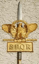 Leg XXIV Vexillum Top