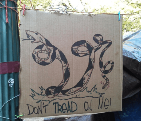 A 99% variant of the Gadsden flag.  Photo by Ted Kaye.