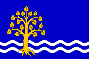 Municipal flag of Pastvini, Czech Republic. Source: Wikimedia Commons and FOTW.