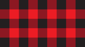 New Zealand flag submission parody: Our Southern Swanny