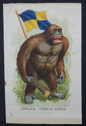 An enraged gorilla dislikes an alleged flag of the French Congo planted in his back.