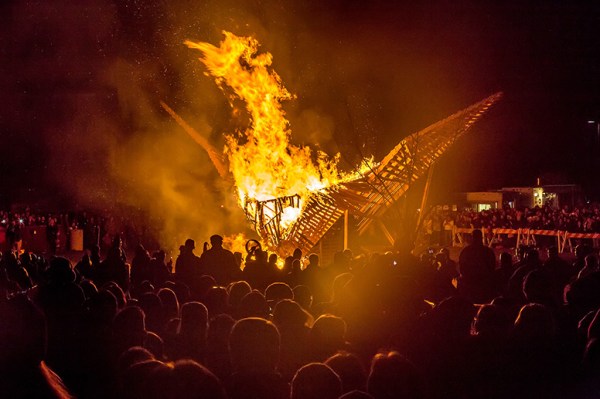 2015 firebird burning small