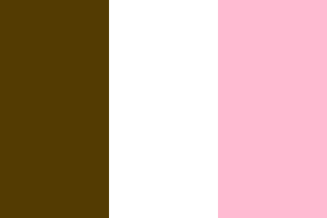 NeapolitanIceCreamFlag-weber